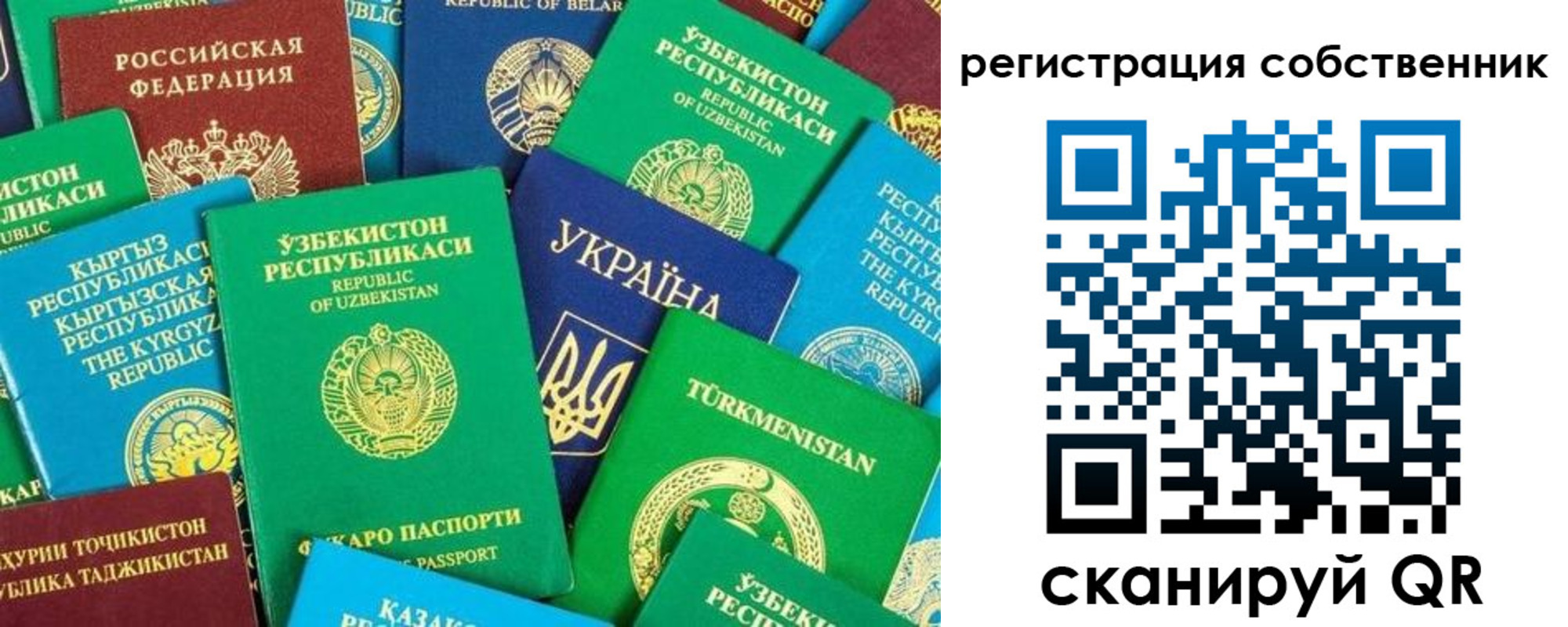прописка в Мариинском Посаде